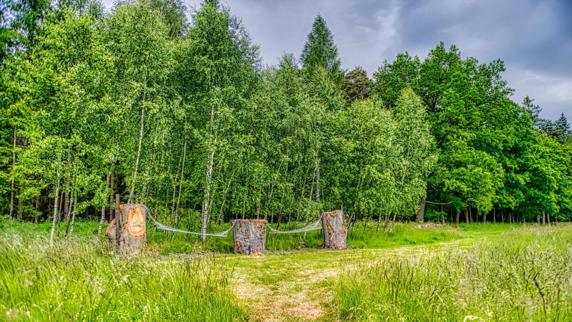 Izerska Baza - Basen, Ebike, Narty, Sauna, Jacuzzi, Las Blisko Swieradow Zdroj - 5D Apartamenty Giebultow  Eksteriør billede